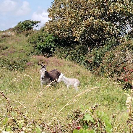 Ballyconneely House Γκάλγουεϊ Εξωτερικό φωτογραφία
