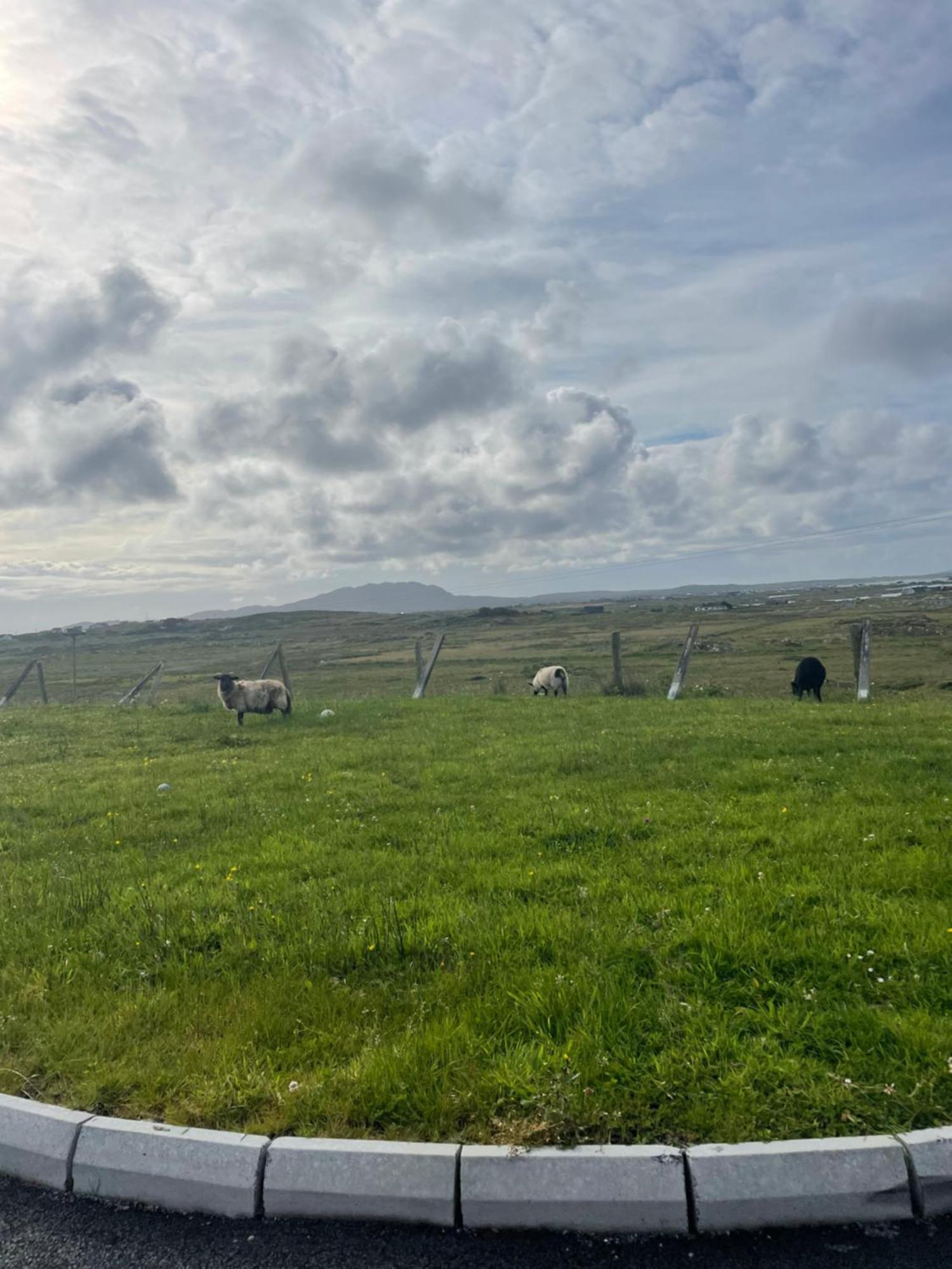 Ballyconneely House Γκάλγουεϊ Εξωτερικό φωτογραφία